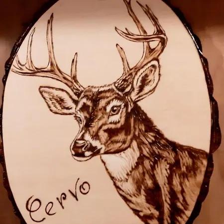 Tenuta Torre Diana 4* Mordano